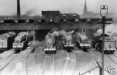 A shedload of locomotives