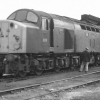 Diesel-electric locomotive in front of the shed