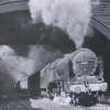 Locomotive 46164
