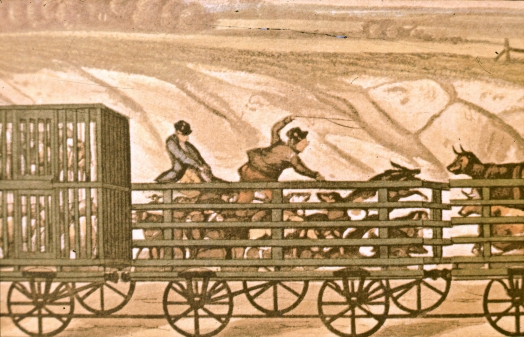 Liverpool and Manchester Railway pig wagon