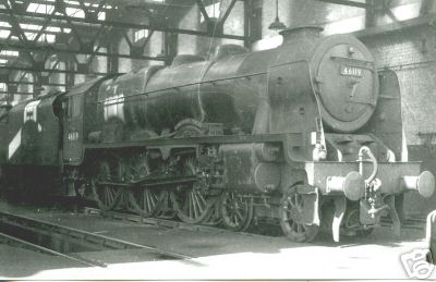 Tender locomotive in the shed II